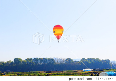 Saku氣球節 116874562