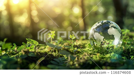 Forest ecosystem. ESG eco concept. Glass globe in forest. Nature spring background. Conservation and ecology environment Forest ecosystem. ESG eco concept. Glass globe in forest. Nature spring background. Conservation and ecology environment 116874608