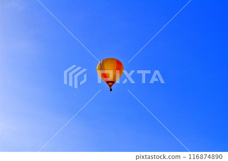 Saku Balloon Festival Saku Balloon Festival 116874890