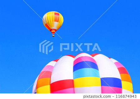 Saku Balloon Festival Saku Balloon Festival 116874943