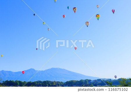 Saku Balloon Festival Saku Balloon Festival 116875102