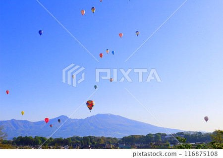 Saku氣球節 116875108