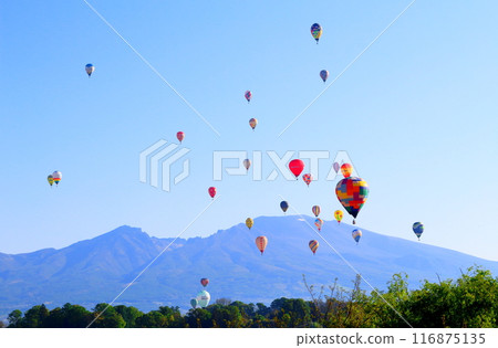 Saku氣球節 Saku氣球節 116875135