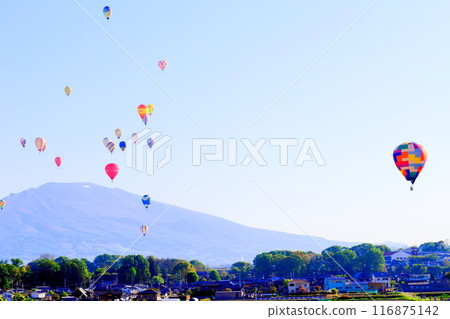 Saku Balloon Festival Saku Balloon Festival 116875142