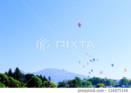 Saku氣球節 Saku氣球節 116875148