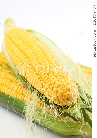 Corn (Summer Festival) Corn (Summer Festival) 116875477