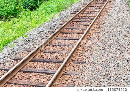 Wooden sleepers and rails (railroad image) 116875510