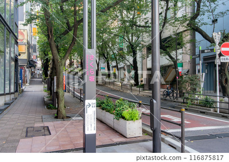 Sakurazaka, a side street of Shibuya Sakura Stage 116875817