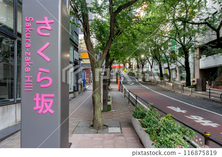 Sakurazaka, a side street of Shibuya Sakura Stage 116875819