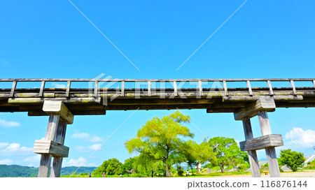 充滿歷史感的木橋蓬萊橋 116876144