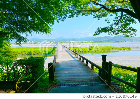 蓬萊橋,世界上最長的橫跨大井川的木製人行橋 蓬萊橋,世界上最長的橫跨大井川的木製人行橋 116876149