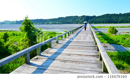 Horaibashi Bridge, the world's longest wooden pedestrian bridge spanning the Oi River 116876160