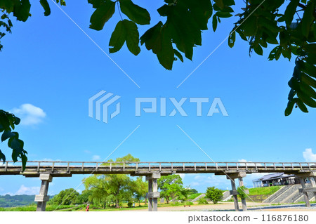 充滿歷史感的木橋蓬萊橋 116876180