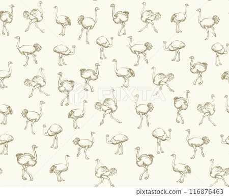 Vector drawing. Ostrich in the steppe 116876463