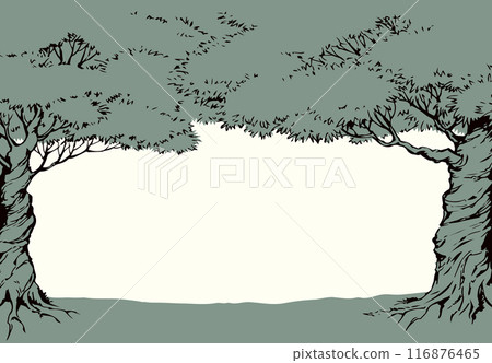 Vector background. Frame from trees 116876465