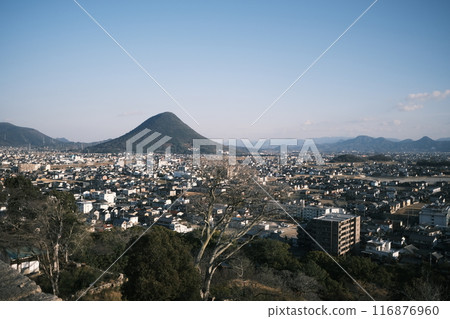 冬季從丸龜城看到的街景素材 冬季從丸龜城看到的街景素材 116876960