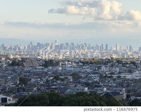Osaka overlooking Osaka overlooking 116876975