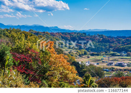《Nagano Prefecture》Komoro Castle Ruins Koen, View from Fujimi Observatory Distant view of Mt. Fuji 《Nagano Prefecture》Komoro Castle Ruins Koen, View from Fujimi Observatory Distant view of Mt. Fuji 116877144