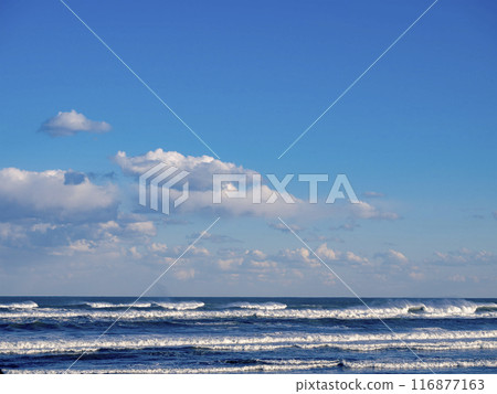 Rough waves crashing on the winter coast Rough waves crashing on the winter coast 116877163