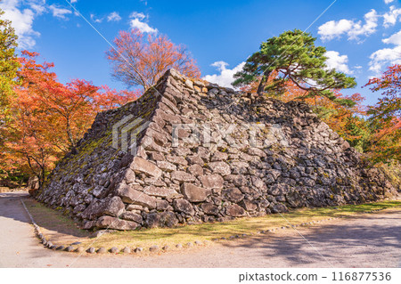 [Nagano Prefecture] Stonework at Komoro Castle Ruins Nostalgia Garden in autumn 116877536