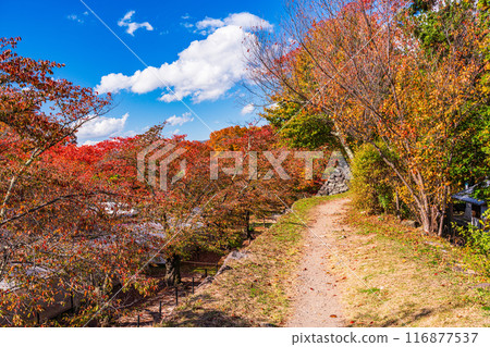 [Nagano Prefecture] Stonework at Komoro Castle Ruins Nostalgia Garden in autumn 116877537