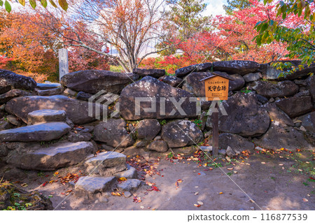 [Nagano Prefecture] Stonework at Komoro Castle Ruins Nostalgia Garden in autumn 116877539