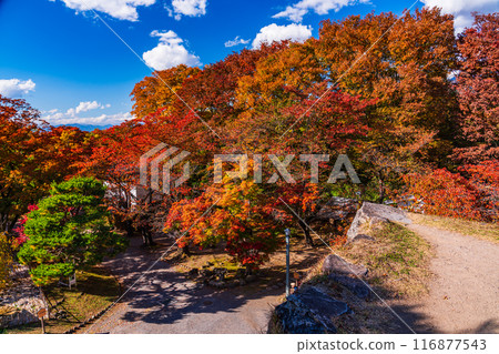 [Nagano Prefecture] Stonework at Komoro Castle Ruins Nostalgia Garden in autumn 116877543