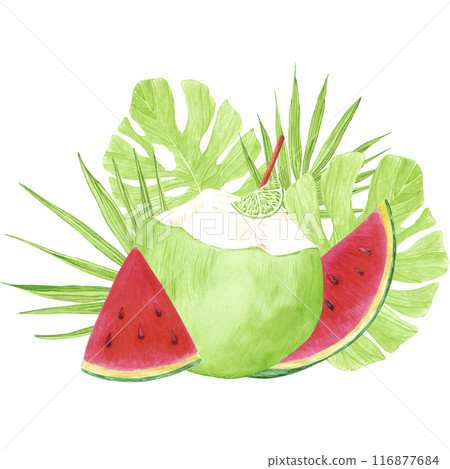 Hand drawn watercolor tropical green coconut watermelon cocktail with lime and leaves isolated on white background. Can be used for post card, label, scrapbook and other printed products. Hand drawn watercolor tropical green coconut watermelon cocktail with lime and leaves isolated on white background. Can be used for post card, label, scrapbook and other printed products. 116877684