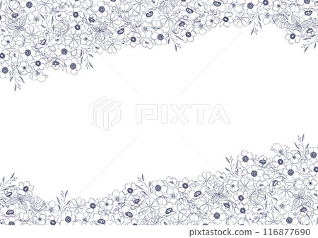 Beautiful floral line drawings, botanical frame material 116877690