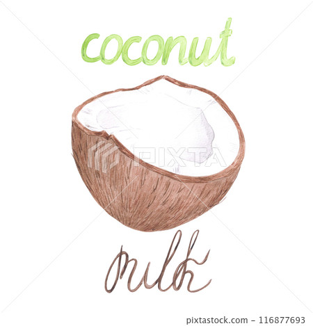 Hand drawn watercolor tropical coconut with lettering postcard isolated on white background. Can be used for post card, label, scrapbook and other printed products. 116877693