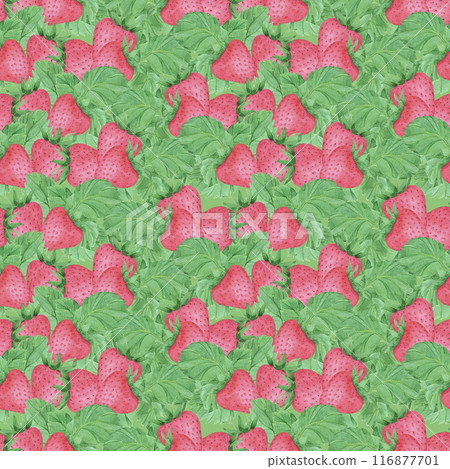 Hand drawn watercolor ripe strawberry with green leaves seamless pattern isolated on green background. Can be used for textile, fabric and other printed products. 116877701