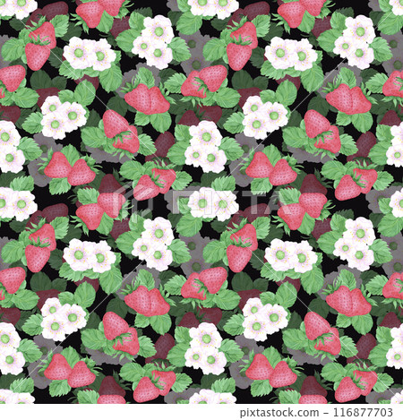 Hand drawn watercolor ripe strawberry with green leaves and blossom seamless pattern isolated on black background. Can be used for textile, fabric and other printed products. 116877703