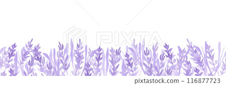 Hand drawn watercolor lavender wildflower seamless frame border isolated on white background. Can be used for textile, invitation, scrapbook and other printed products. Hand drawn watercolor lavender wildflower seamless frame border isolated on white background. Can be used for textile, invitation, scrapbook and other printed products. 116877723
