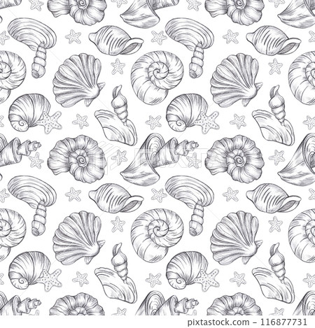 Hand drawn black coal pencil seashells seamless pattern isolated on white background. Marine illustration can be used for textile, fabric, scrapbook and other printed products. 116877731