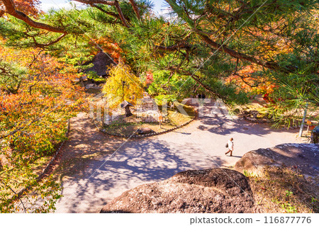 <Nagano Prefecture> Komoro Castle Ruins Nostalgia Garden during autumn foliage <Nagano Prefecture> Komoro Castle Ruins Nostalgia Garden during autumn foliage 116877776