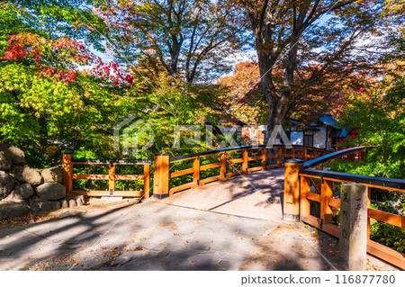 [長野縣]紅葉季節的小諸城跡懷古園 116877780