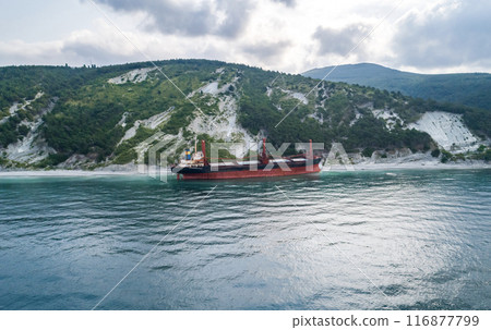 Aerial view of an abandoned bulk-carrier dry cargo ship washed ashore after a storm 116877799