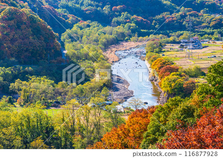 <Nagano Prefecture> The town of Komoro as seen from Komoro Castle Ruins Kaikoen Garden during autumn foliage 116877928