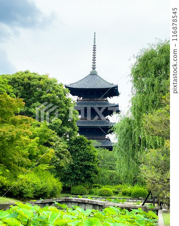 Toji Temple Five-story Pagoda, Kyoto Prefecture 116878545
