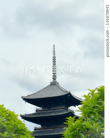 Toji Temple Five-story Pagoda, Kyoto Prefecture Toji Temple Five-story Pagoda, Kyoto Prefecture 116878645