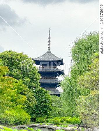京都府東寺五層塔 京都府東寺五層塔 116878646