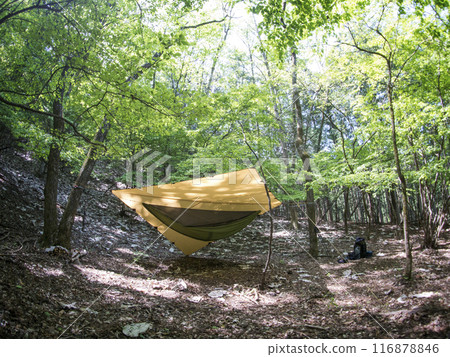 在您最喜歡的露營地的吊床上睡覺 116878846