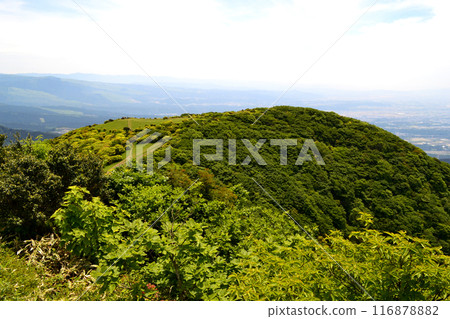 初夏的倉岳，綠意盎然的山景 116878882