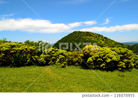 Early summer at Mt. Kuratake: Mountain scenery shining with fresh greenery Early summer at Mt. Kuratake: Mountain scenery shining with fresh greenery 116878955
