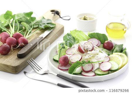 蘿蔔蔬菜沙拉 116879266