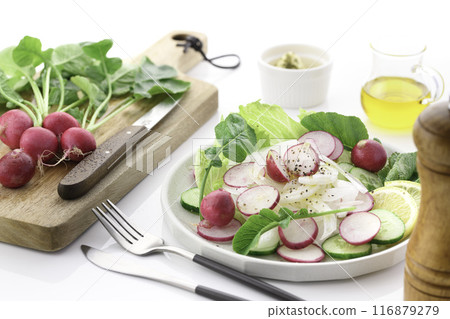 蘿蔔蔬菜沙拉 116879279