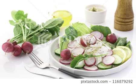 蘿蔔蔬菜沙拉 116879292