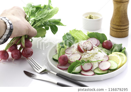 蘿蔔蔬菜沙拉 116879295