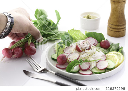 蘿蔔蔬菜沙拉 蘿蔔蔬菜沙拉 116879296