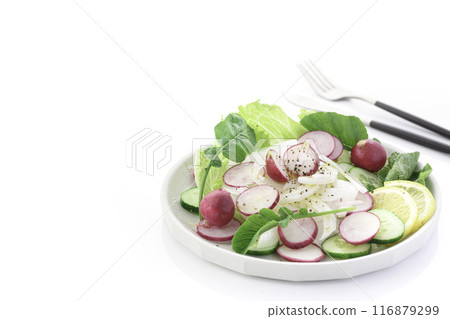 蘿蔔蔬菜沙拉 蘿蔔蔬菜沙拉 116879299